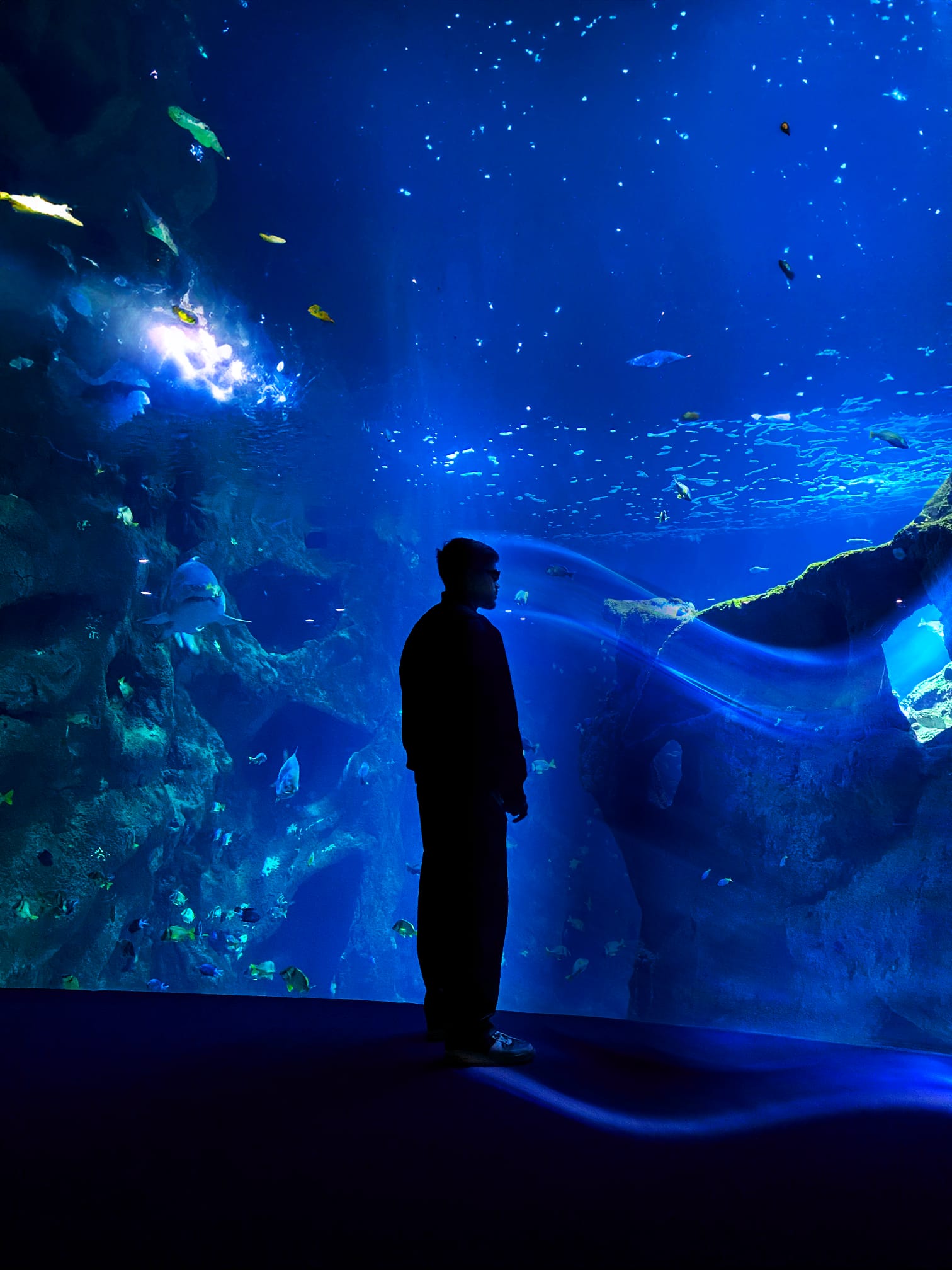 1d06ab48-4342-4d26-a9dd-59cd2144f742